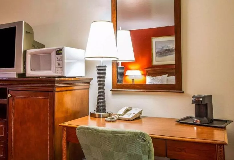 اتاق استاندارد با تخت بزرگ, Rodeway Inn & Suites Brunswick Near Hwy 1