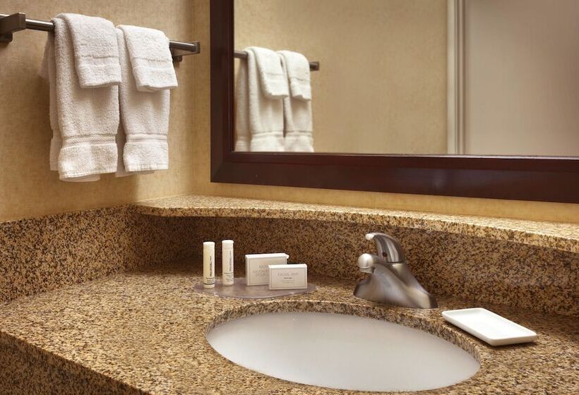 套房, Springhill Suites By Marriott Salt Lake City Downtown