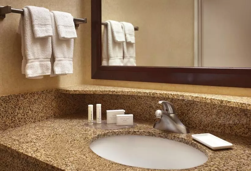 Sviitti, Springhill Suites By Marriott Salt Lake City Downtown