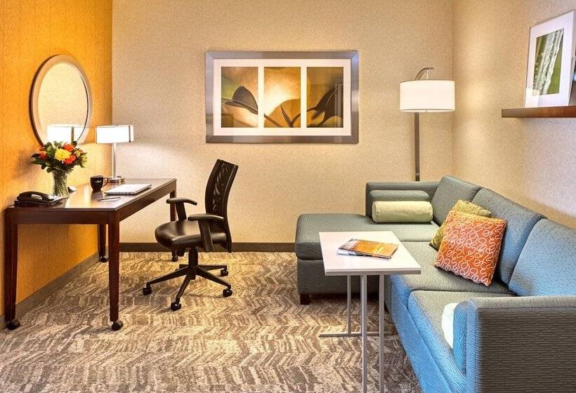 套房, Springhill Suites By Marriott Salt Lake City Downtown