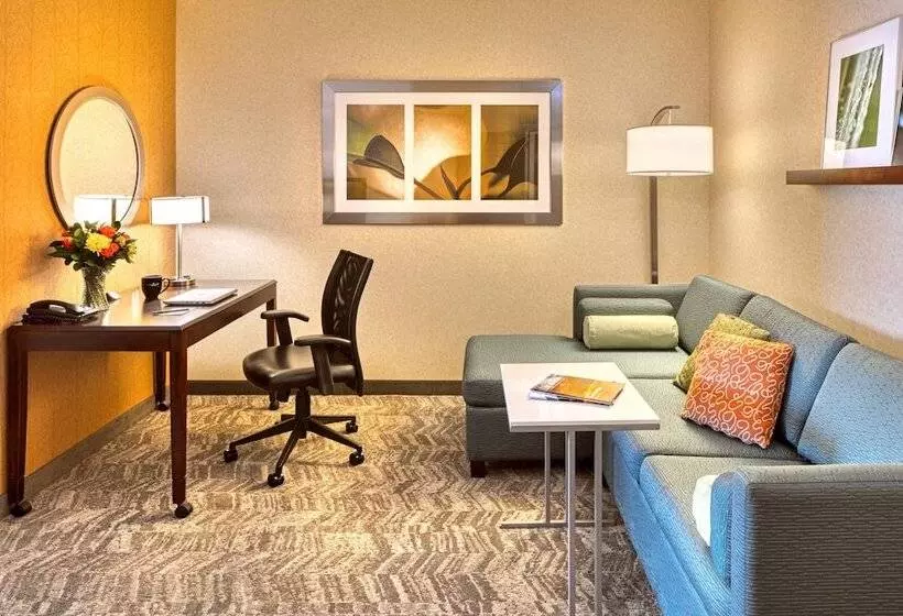 Sviitti, Springhill Suites By Marriott Salt Lake City Downtown