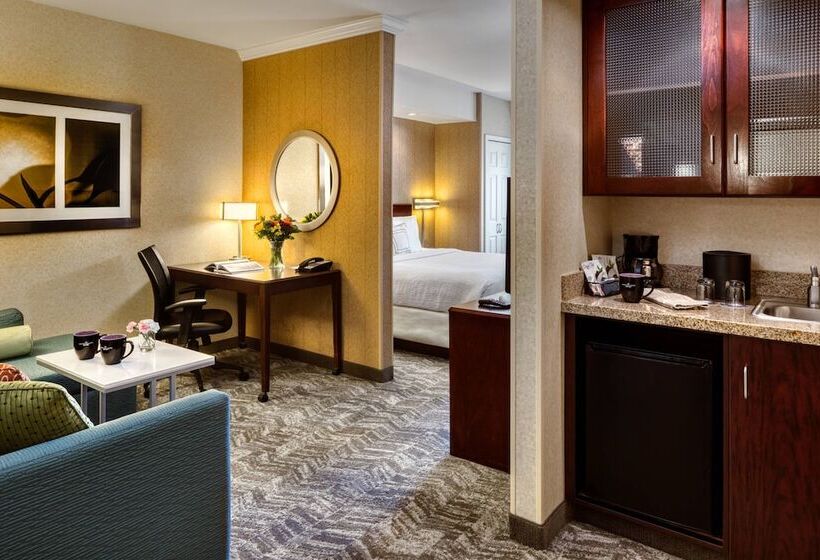 Люкс, Springhill Suites By Marriott Salt Lake City Downtown