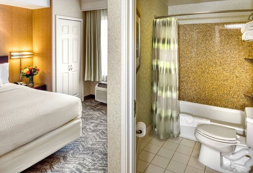 套房, Springhill Suites By Marriott Salt Lake City Downtown