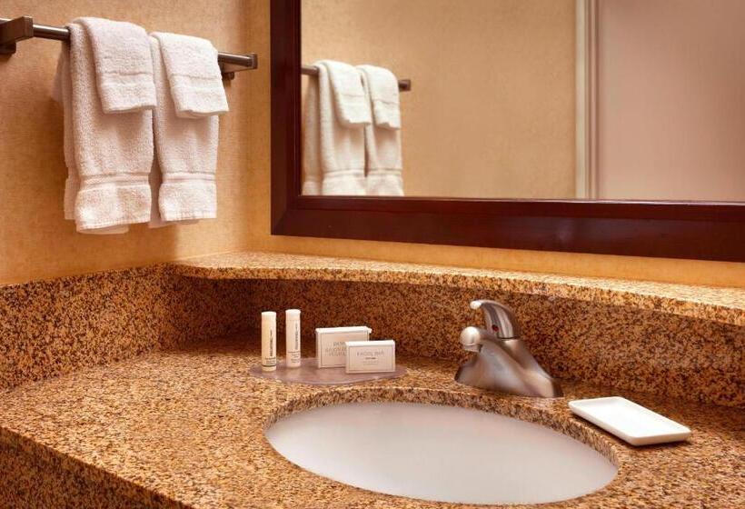 带大床的套房, Springhill Suites By Marriott Salt Lake City Downtown