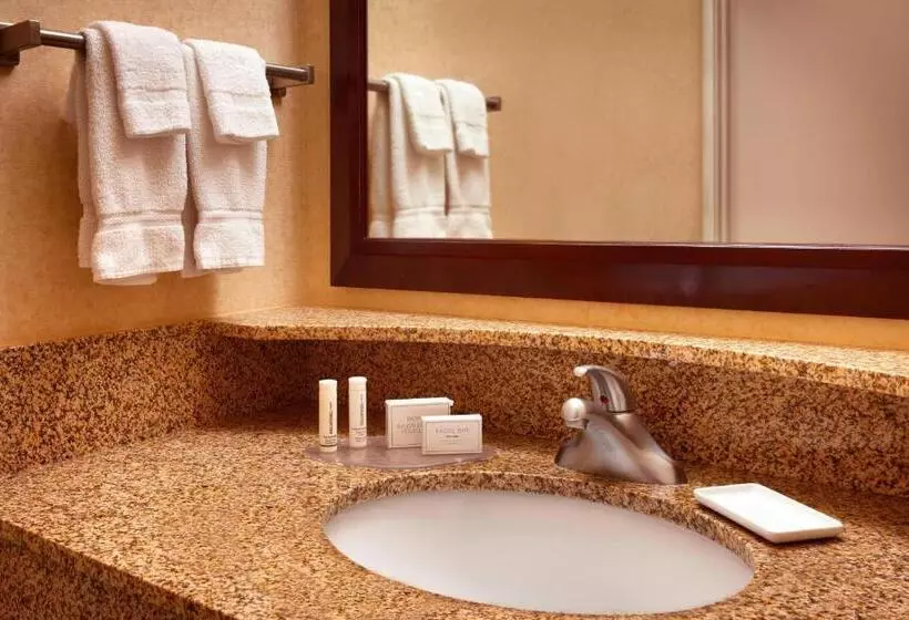 Sviitti King-vuode, Springhill Suites By Marriott Salt Lake City Downtown