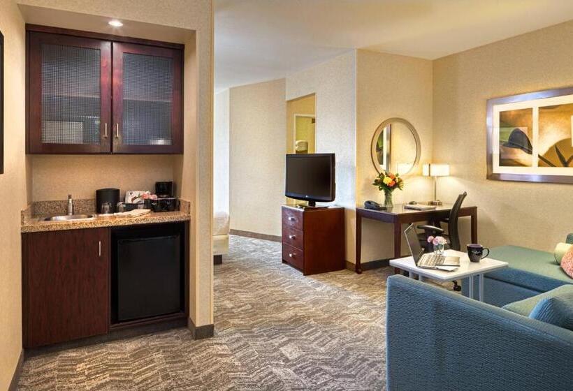 带大床的套房, Springhill Suites By Marriott Salt Lake City Downtown