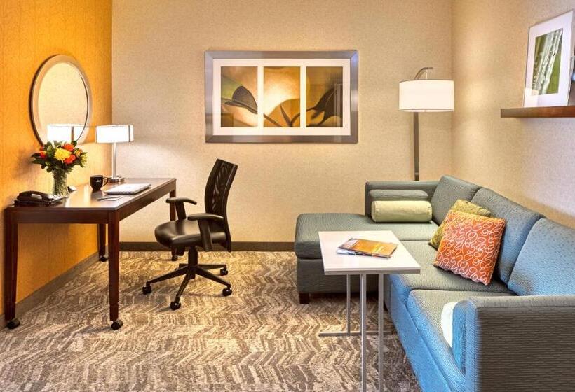 Люкс Кровать Кинг, Springhill Suites By Marriott Salt Lake City Downtown