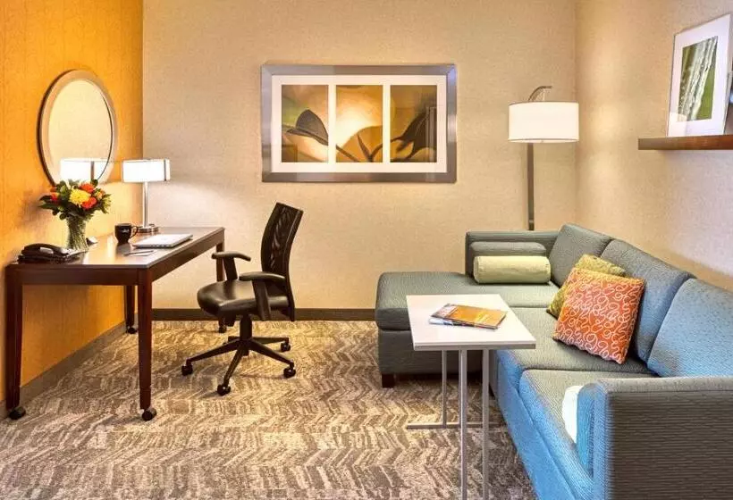 Sviitti King-vuode, Springhill Suites By Marriott Salt Lake City Downtown