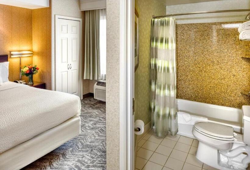 带大床的套房, Springhill Suites By Marriott Salt Lake City Downtown