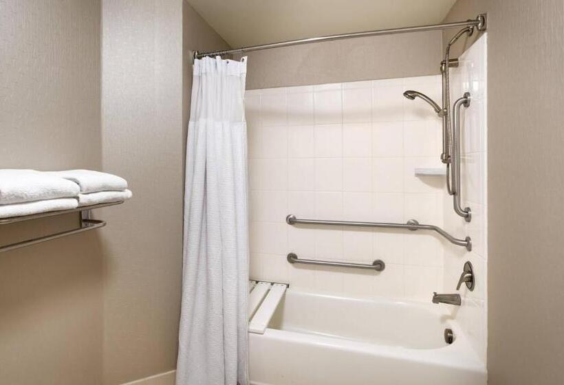 带大床的标准工作室, Springhill Suites Thatcher