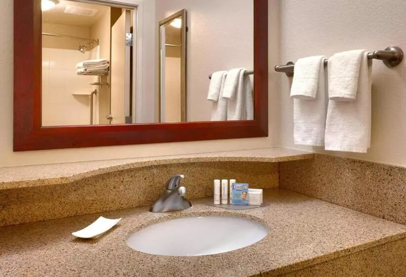 キングサイドベッドのスタンダードワンルーム, Springhill Suites Thatcher