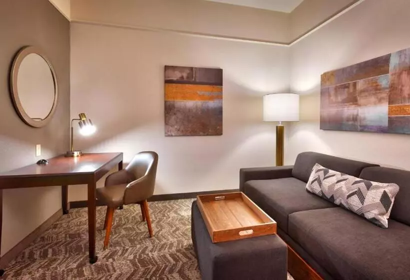 キングサイドベッドのスタンダードワンルーム, Springhill Suites Thatcher
