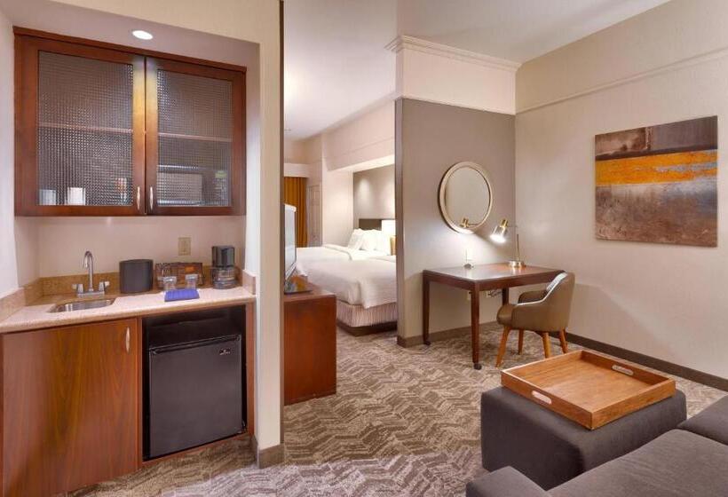 Студио Стандарт Кровать Кинг, Springhill Suites Thatcher