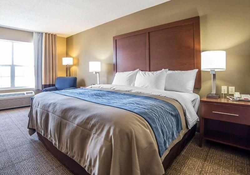 Стандартный Номер Кровать Кинг, Comfort Inn Saint George North
