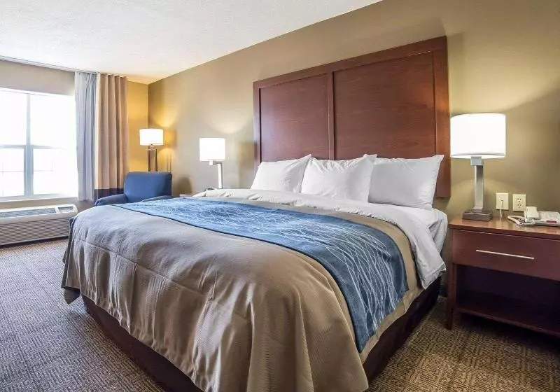 اتاق استاندارد با تخت بزرگ, Comfort Inn Saint George North