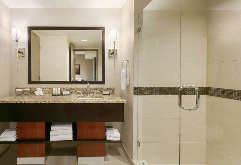 استودیوی استاندارد با تخت دوبل, Embassy Suites Chattanooga / Hamilton Place