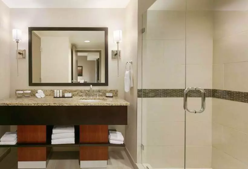 ダブルベッドのスタンダードスタジオ, Embassy Suites Chattanooga / Hamilton Place