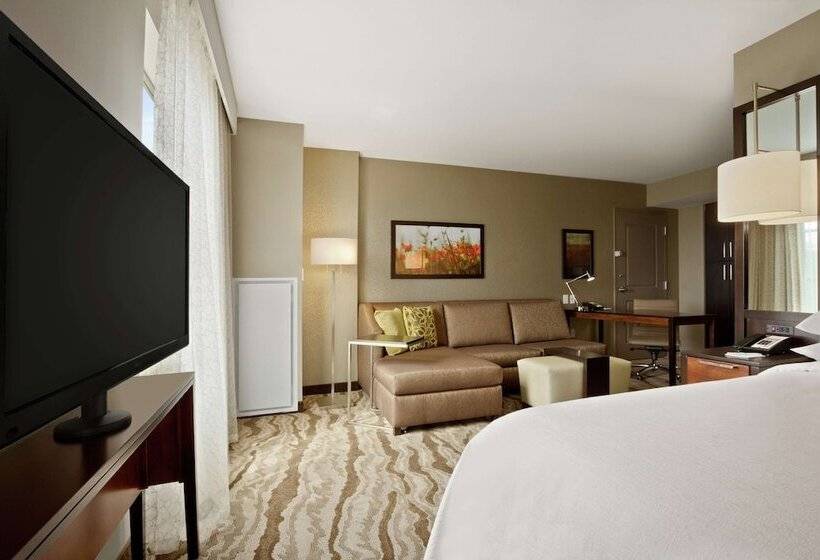 Studio Standard Lit Double, Embassy Suites Chattanooga / Hamilton Place