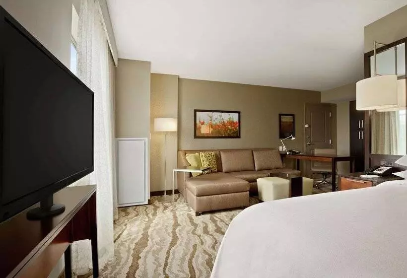 ダブルベッドのスタンダードスタジオ, Embassy Suites Chattanooga / Hamilton Place