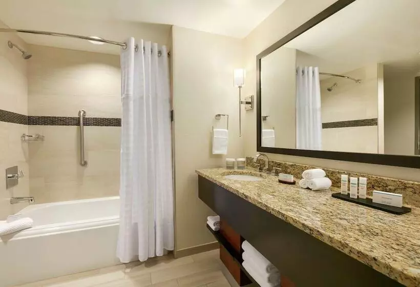 スイート, Embassy Suites Chattanooga / Hamilton Place