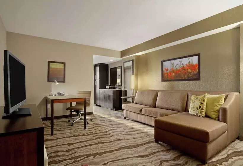 スイート, Embassy Suites Chattanooga / Hamilton Place