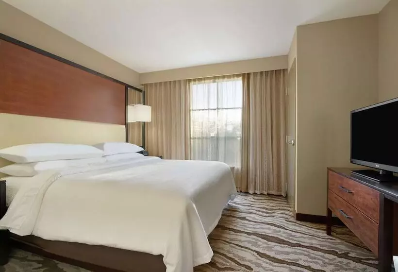 スイート, Embassy Suites Chattanooga / Hamilton Place