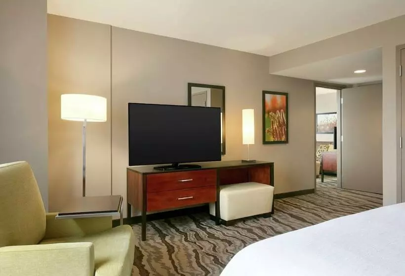 スイート, Embassy Suites Chattanooga / Hamilton Place