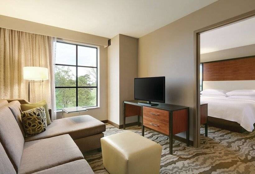 Suite Adaptée aux Personnes à Mobilité Réduite, Embassy Suites Chattanooga / Hamilton Place