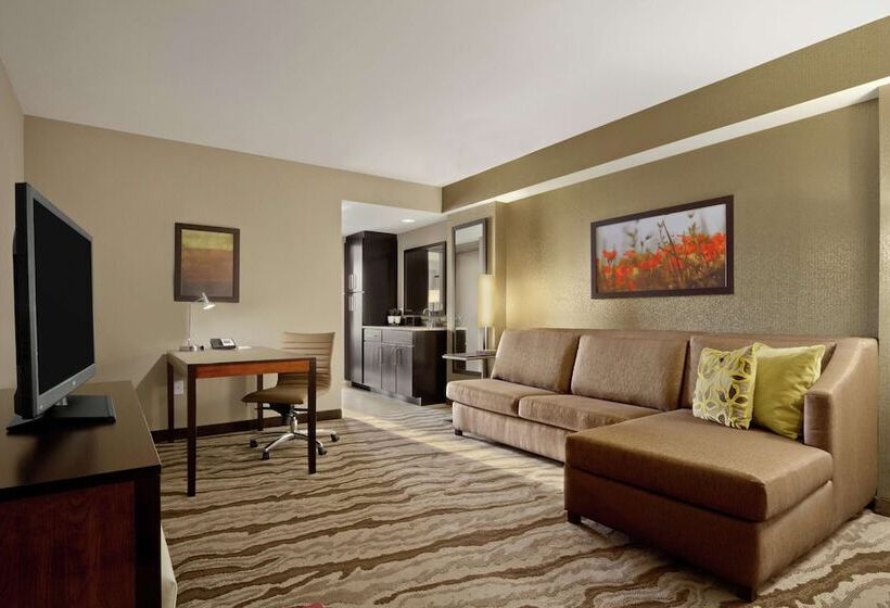 سوئیت برای معلولان, Embassy Suites Chattanooga / Hamilton Place