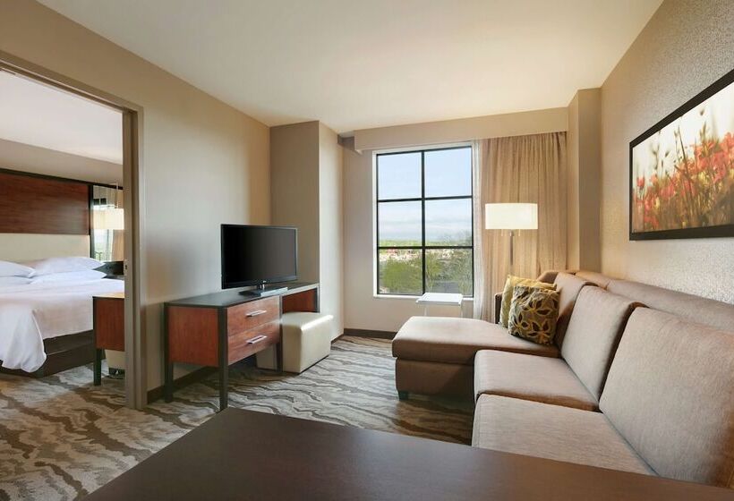 سوئیت برای معلولان, Embassy Suites Chattanooga / Hamilton Place