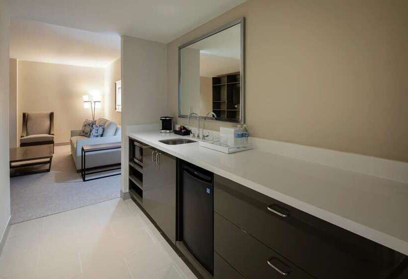 سوئیت با تخت بزرگ, Embassy Suites Chattanooga / Hamilton Place