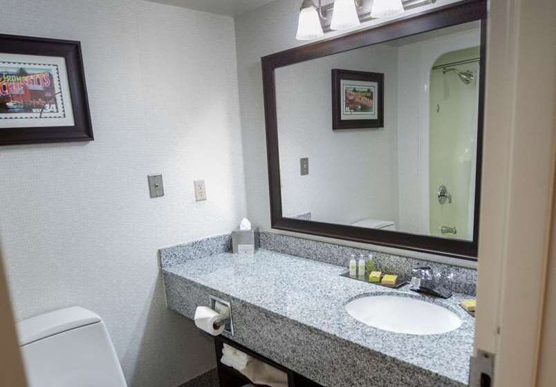 سوئیت با تخت بزرگ, Embassy Suites Chattanooga / Hamilton Place