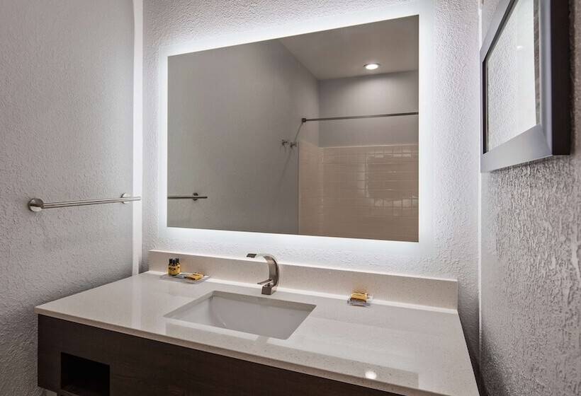 장애인을 위한 스위트, Best Western Plus Appleton Airport Mall