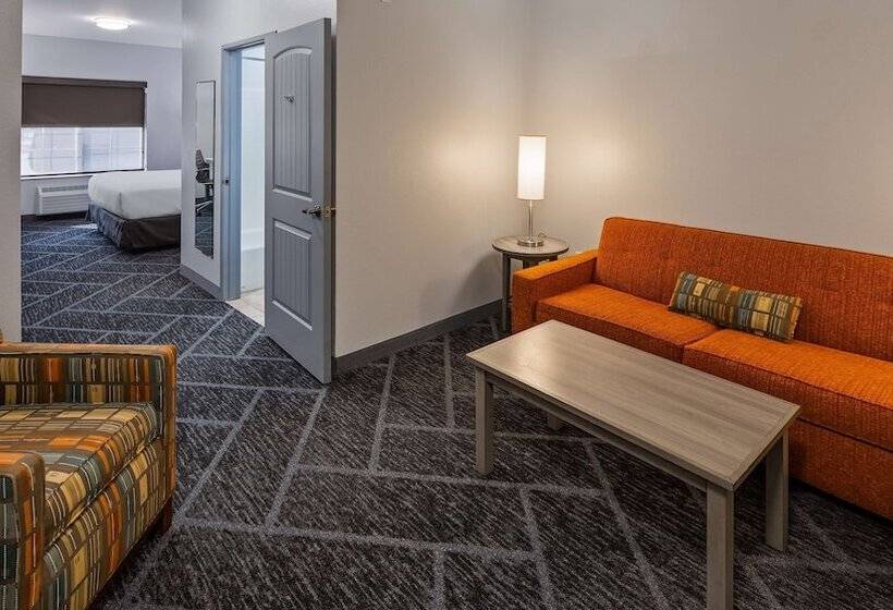 适合残疾人士使用的套间, Best Western Plus Appleton Airport Mall