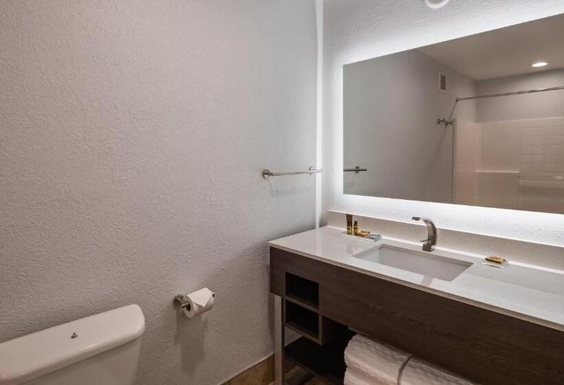 带大床的标准间, Best Western Plus Appleton Airport Mall