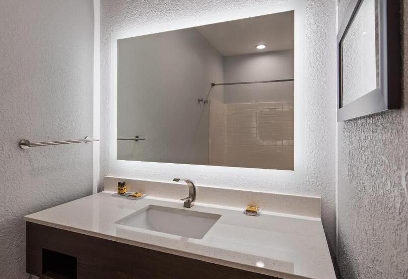 适合残疾人士使用的带超级大床的标准间, Best Western Plus Appleton Airport Mall