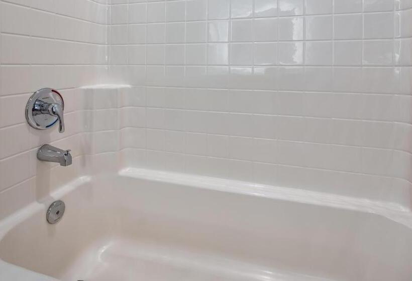 带大床的套房, Best Western Plus Appleton Airport Mall