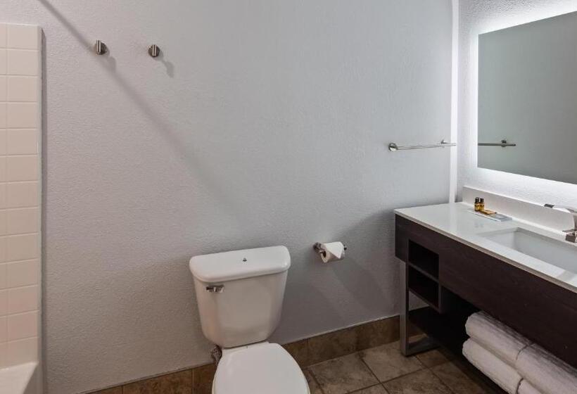 스위트 킹사이즈 침대, Best Western Plus Appleton Airport Mall