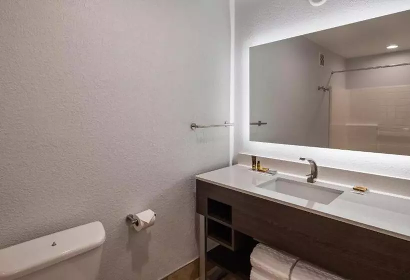 スイート（家族用）, Best Western Plus Appleton Airport Mall