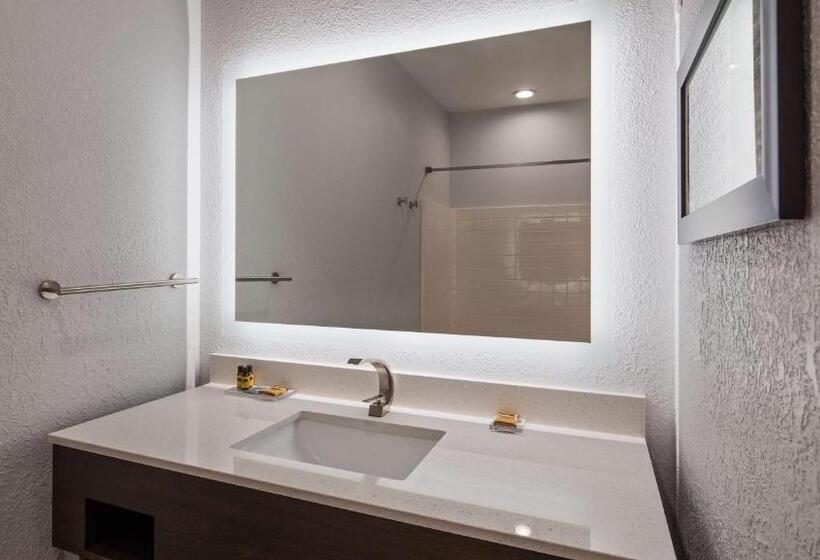 适合残疾人士使用的套间, Best Western Plus Appleton Airport Mall