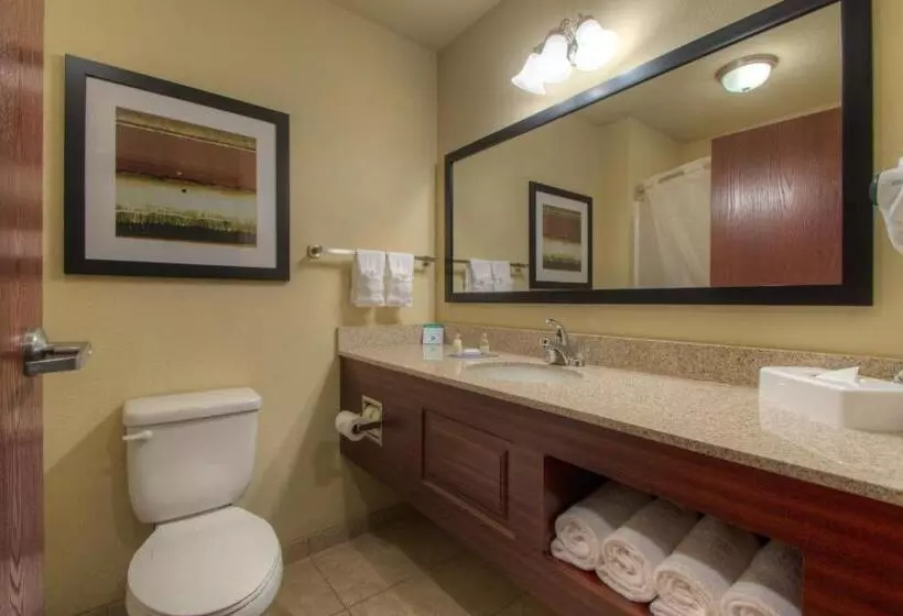 スタンダードルーム, Cobblestone Inn & Suites   Holyoke