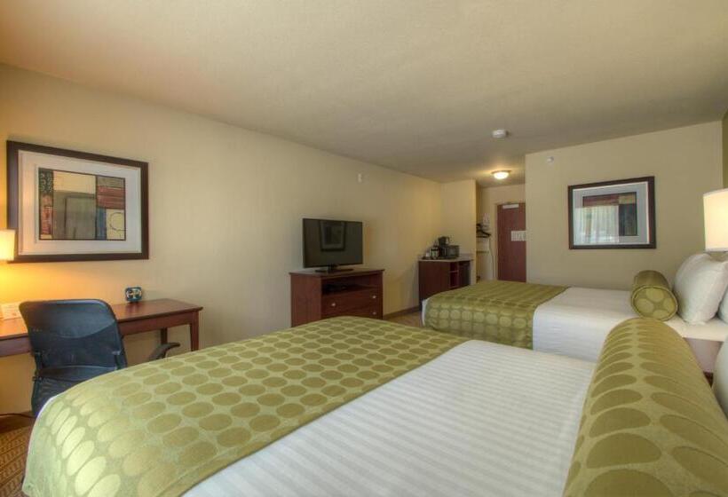 Номер Стандарт, Cobblestone Inn & Suites   Holyoke
