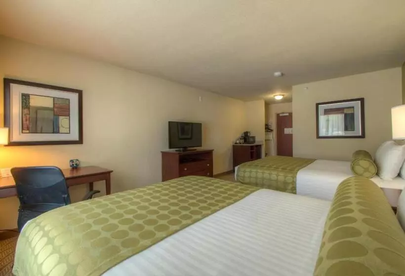 スタンダードルーム, Cobblestone Inn & Suites   Holyoke