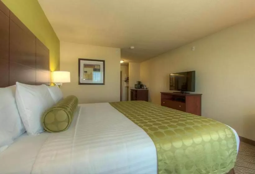 キングサイズベッドのスタンダードルーム, Cobblestone Inn & Suites   Holyoke