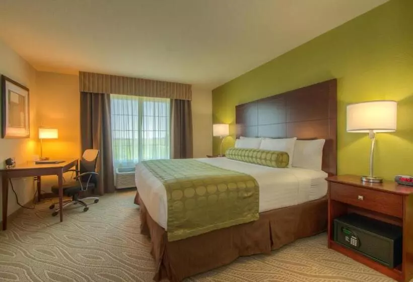 キングサイズベッドのスタンダードルーム, Cobblestone Inn & Suites   Holyoke