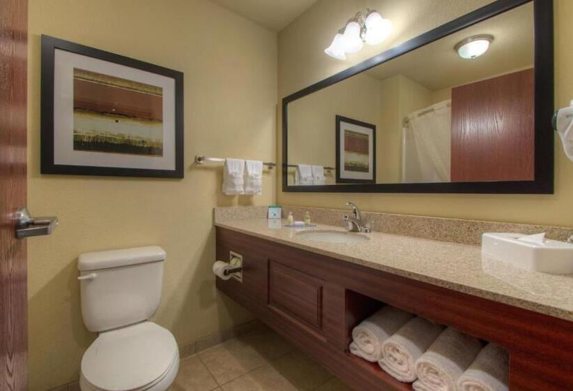 غرفة قياسية سرير كينج, Cobblestone Inn & Suites   Holyoke