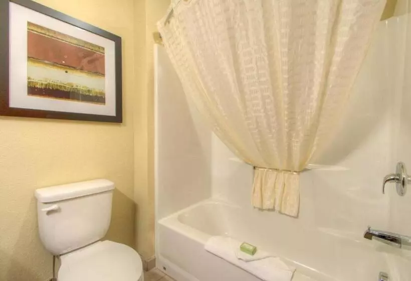 キングサイズベッドのスイートルーム, Cobblestone Inn & Suites   Holyoke