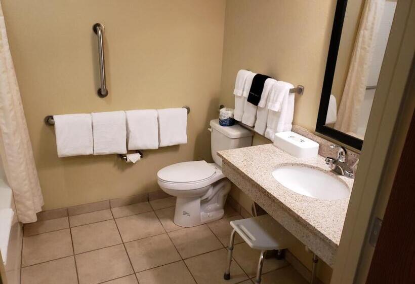 Люкс Адаптированный для Инвалидов, Cobblestone Inn & Suites   Holyoke