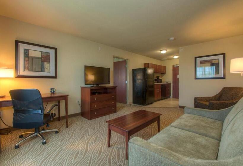 Люкс Адаптированный для Инвалидов, Cobblestone Inn & Suites   Holyoke