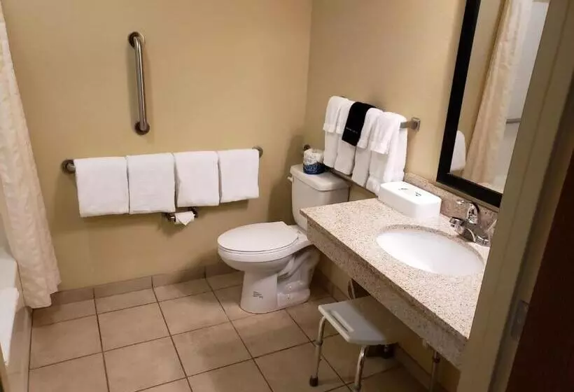 身障者適用スタンダードルーム, Cobblestone Inn & Suites   Holyoke